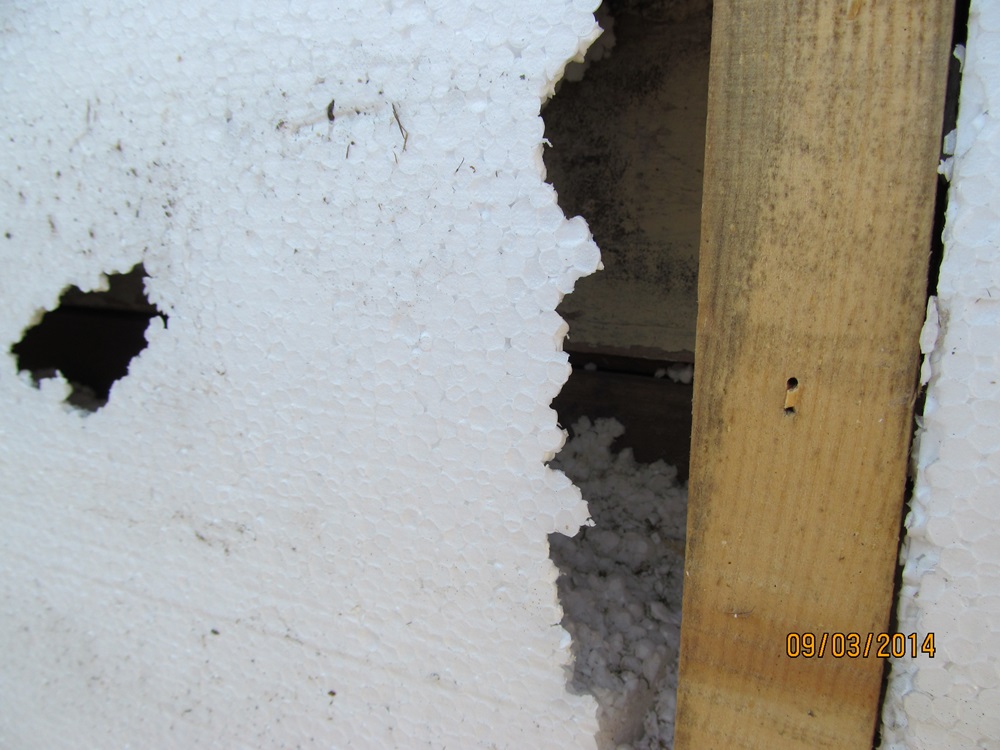 attachment.php?attachmentid=345666&d=1395085840