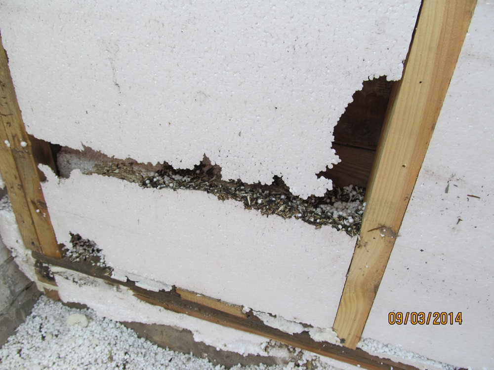 attachment.php?attachmentid=345683&d=1395086714