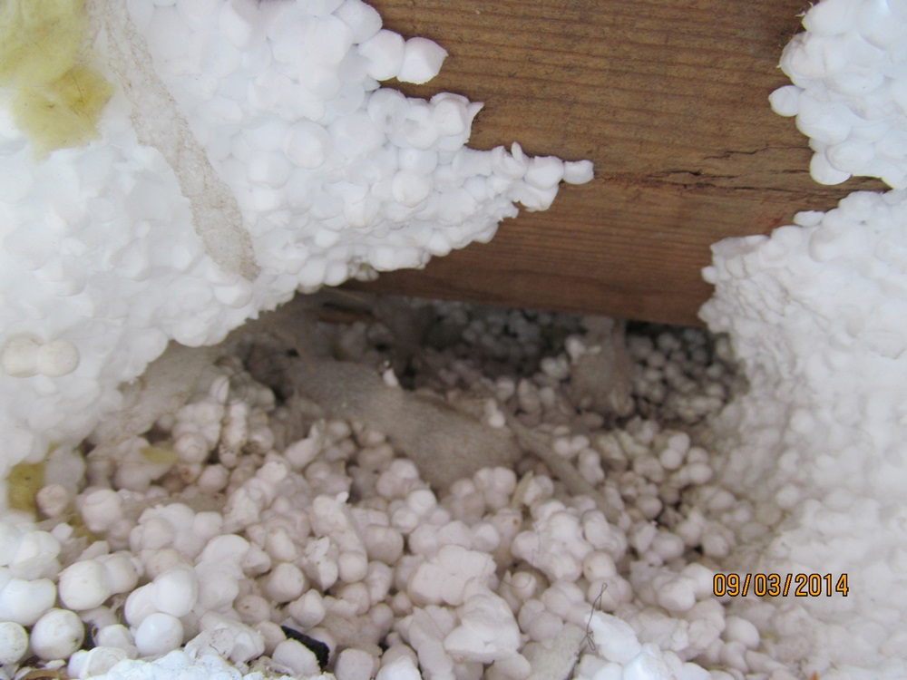 attachment.php?attachmentid=345690&d=1395086748