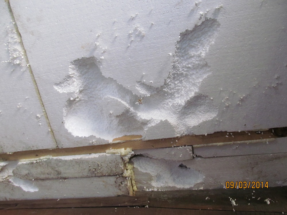 attachment.php?attachmentid=345699&d=1395087284