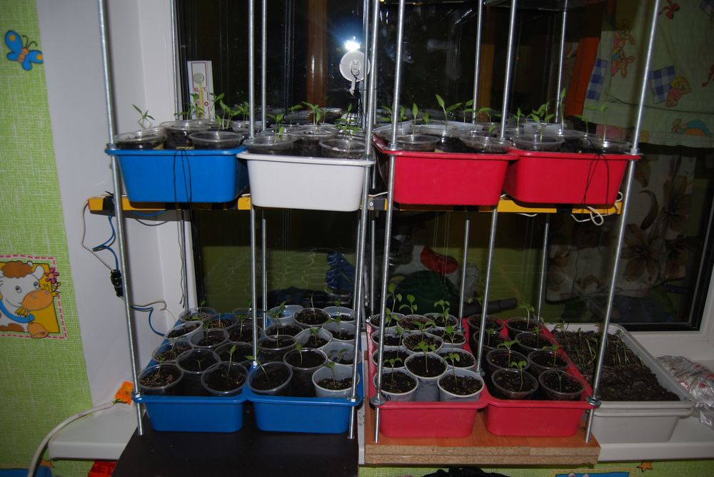 attachment.php?attachmentid=346720&stc=1&d=1395435867