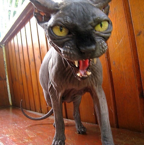 attachment.php?attachmentid=350344&stc=1&d=1396892345