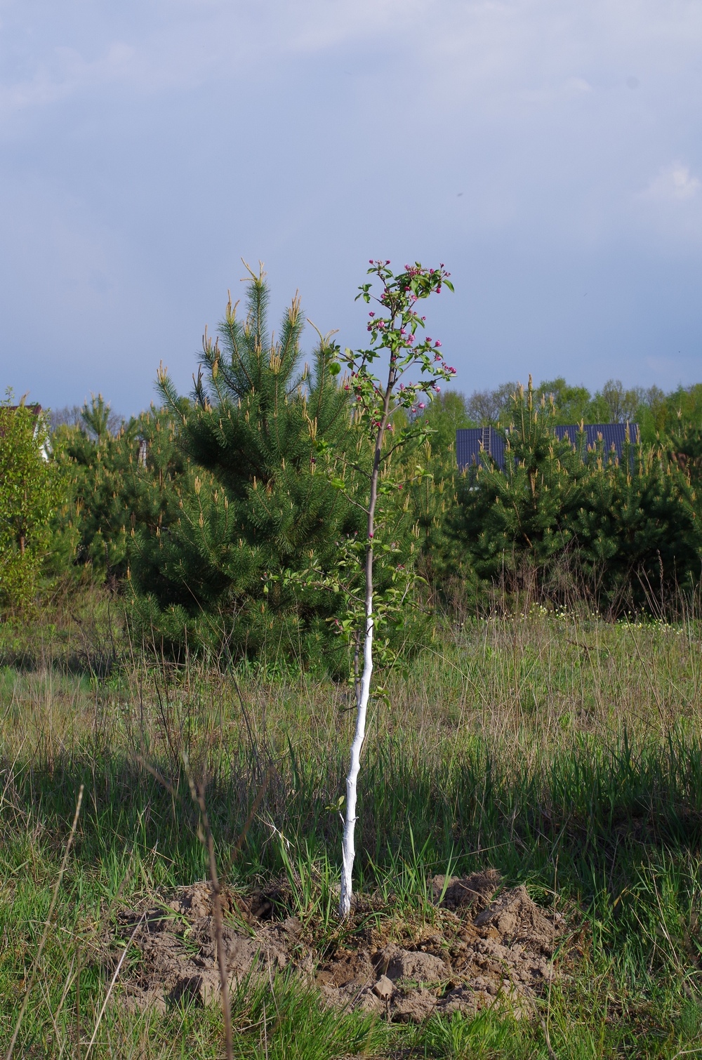 attachment.php?attachmentid=355249&stc=1&d=1398976450