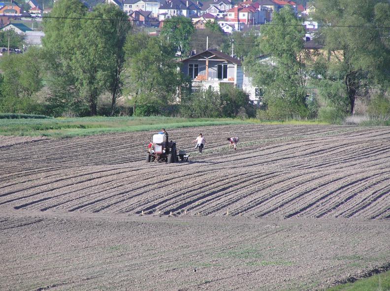 attachment.php?attachmentid=356923&stc=1&d=1399666844