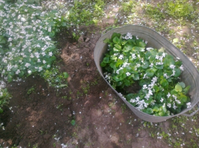 attachment.php?attachmentid=358335&stc=1&d=1400156683