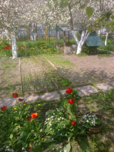 attachment.php?attachmentid=358336&stc=1&d=1400156721