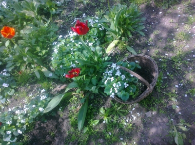 attachment.php?attachmentid=358337&stc=1&d=1400156770