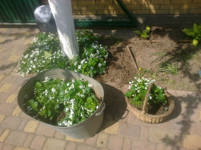 attachment.php?attachmentid=358338&stc=1&d=1400156861