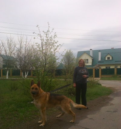 attachment.php?attachmentid=358465&stc=1&d=1400227004