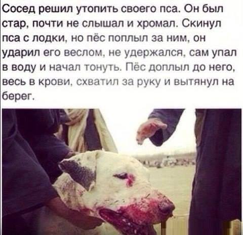 attachment.php?attachmentid=358484&stc=1&d=1400231192