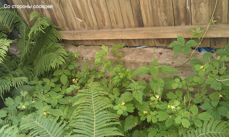 attachment.php?attachmentid=363035&stc=1&d=1401890977