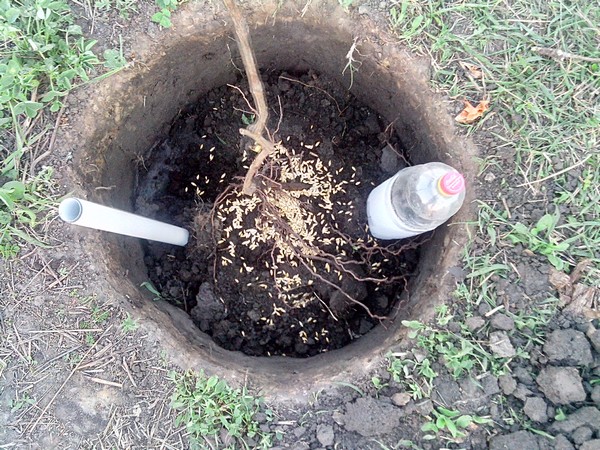 attachment.php?attachmentid=365958&stc=1&d=1402951931