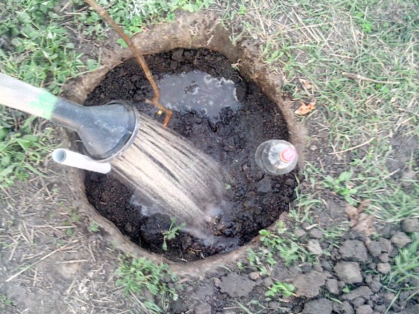 attachment.php?attachmentid=365963&stc=1&d=1402952254