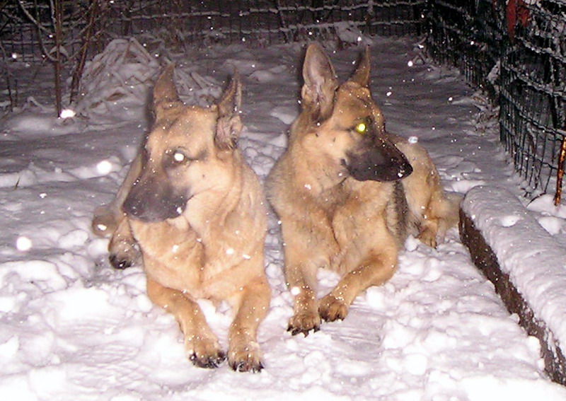 attachment.php?attachmentid=37304&d=1262221575