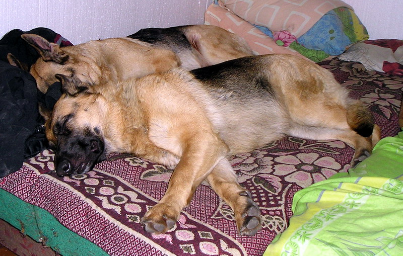 attachment.php?attachmentid=37305&d=1262221601