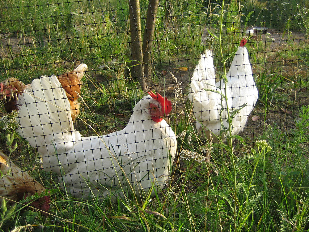 attachment.php?attachmentid=375818&d=1406815284