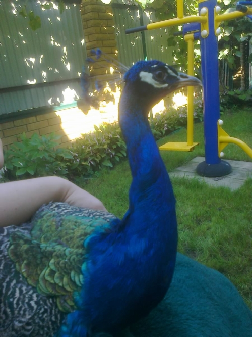 attachment.php?attachmentid=382601&stc=1&d=1410158753