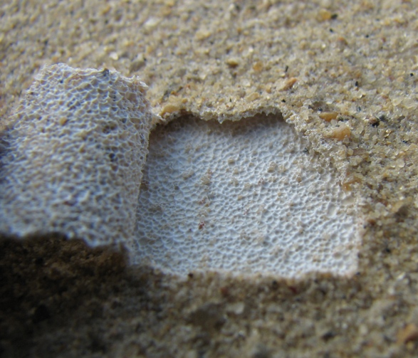 attachment.php?attachmentid=383194&stc=1&d=1410431868