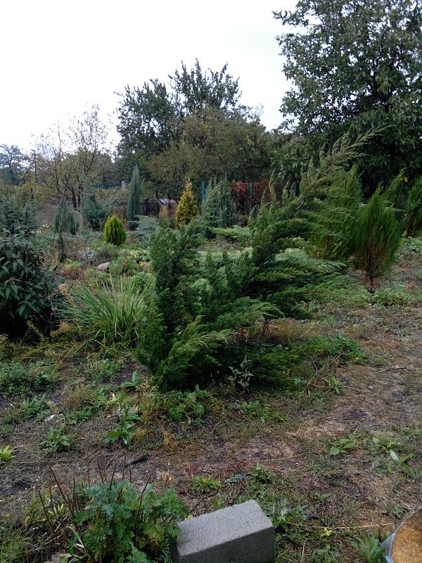 attachment.php?attachmentid=386235&stc=1&d=1411662560