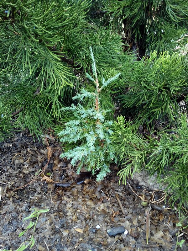 attachment.php?attachmentid=386236&stc=1&d=1411662628