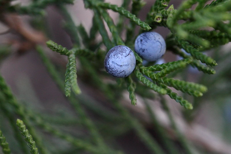 attachment.php?attachmentid=386237&stc=1&d=1411662560