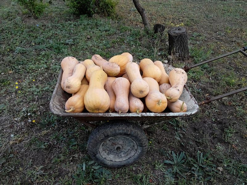 attachment.php?attachmentid=387506&stc=1&d=1412179192