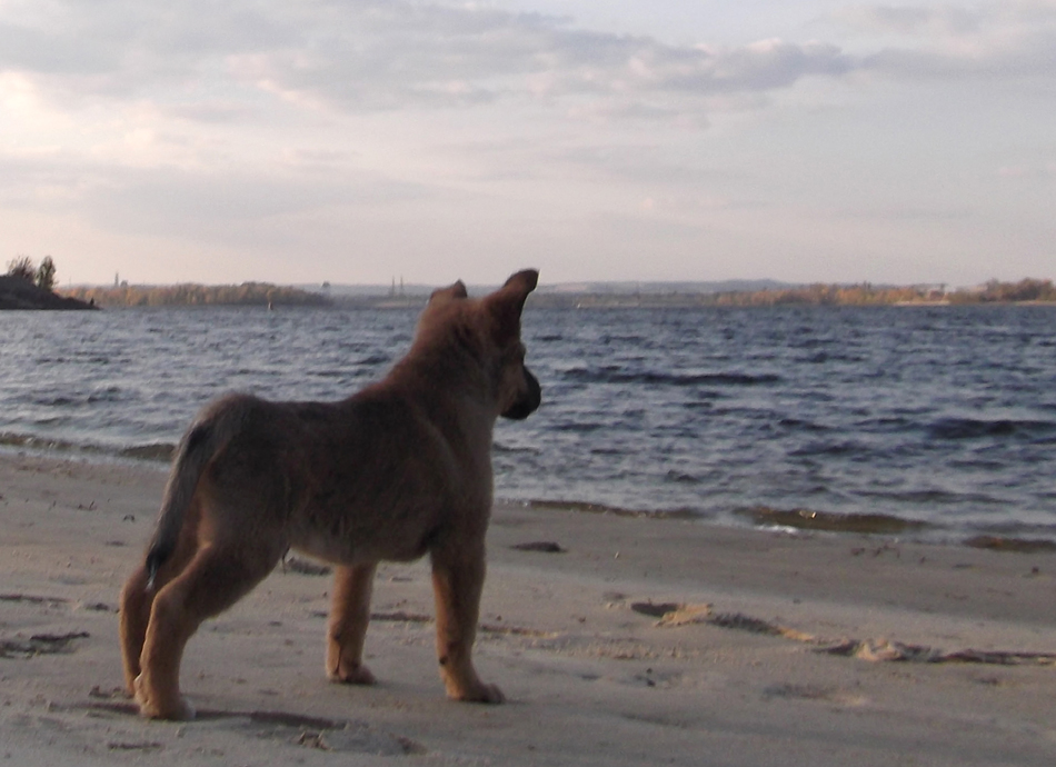 attachment.php?attachmentid=390545&d=1413454711