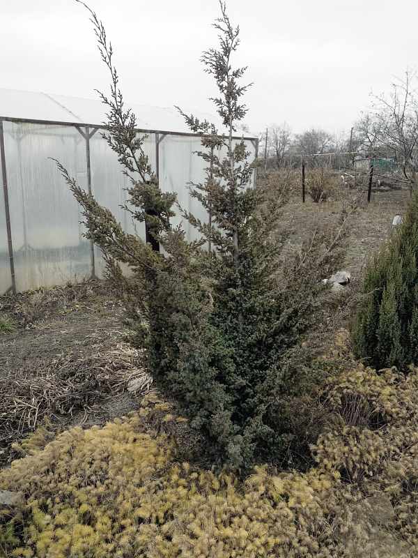 attachment.php?attachmentid=395881&stc=1&d=1415707245