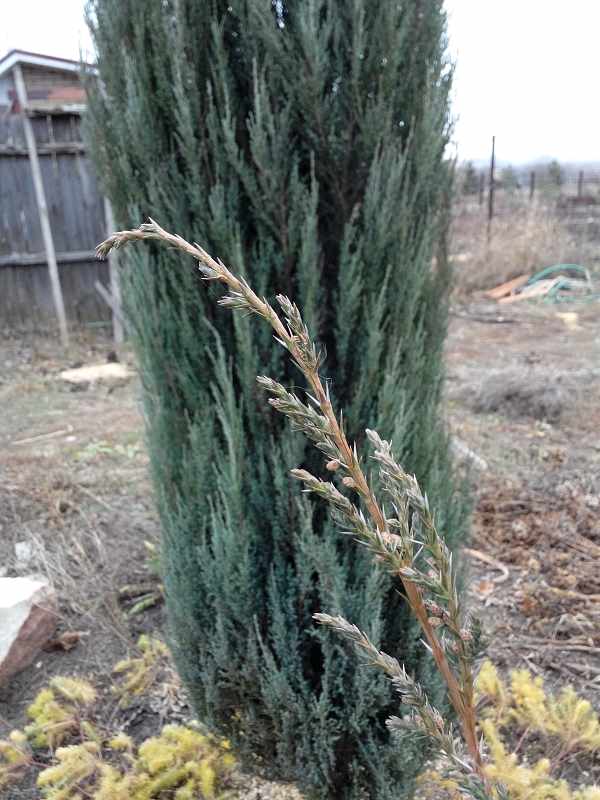 attachment.php?attachmentid=395883&stc=1&d=1415707245