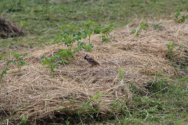 attachment.php?attachmentid=400831&stc=1&d=1417805156