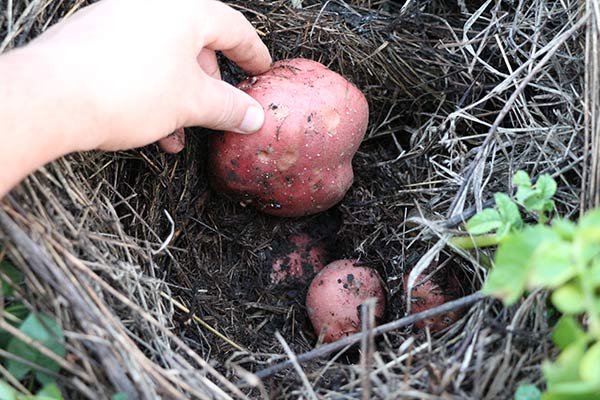 attachment.php?attachmentid=400834&stc=1&d=1417805364