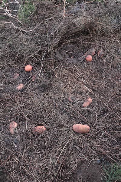 attachment.php?attachmentid=400837&stc=1&d=1417805468