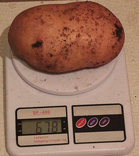 attachment.php?attachmentid=400839&stc=1&d=1417805552