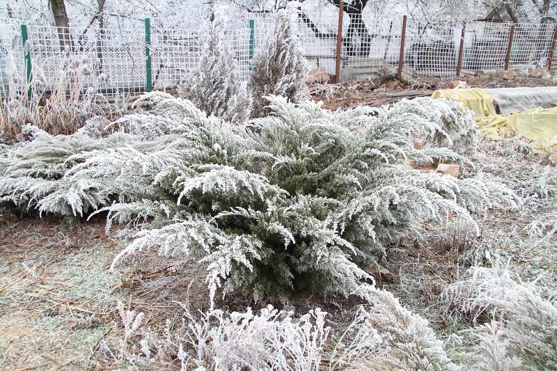 attachment.php?attachmentid=402761&stc=1&d=1418660256