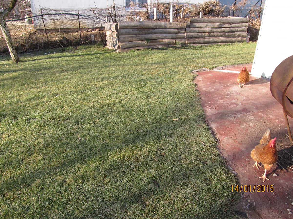 attachment.php?attachmentid=407814&stc=1&d=1421228662