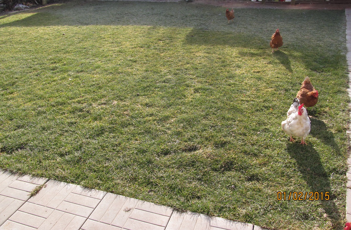 attachment.php?attachmentid=411932&d=1422783570