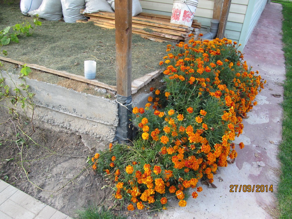 attachment.php?attachmentid=412396&stc=1&d=1422974078