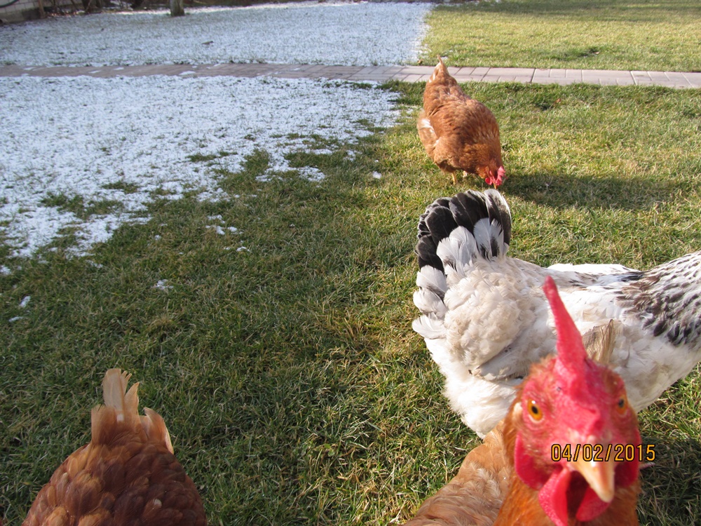 attachment.php?attachmentid=412866&stc=1&d=1423150197