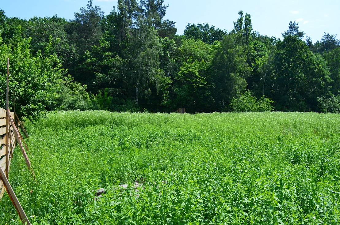 attachment.php?attachmentid=418090&stc=1&d=1425283100