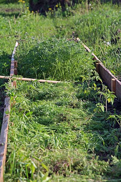 attachment.php?attachmentid=421144&stc=1&d=1426317444