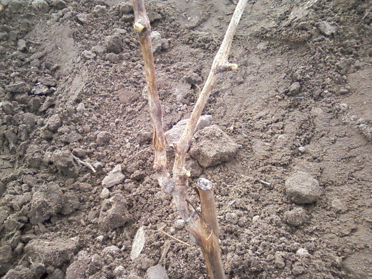 attachment.php?attachmentid=429377&stc=1&d=1429209124