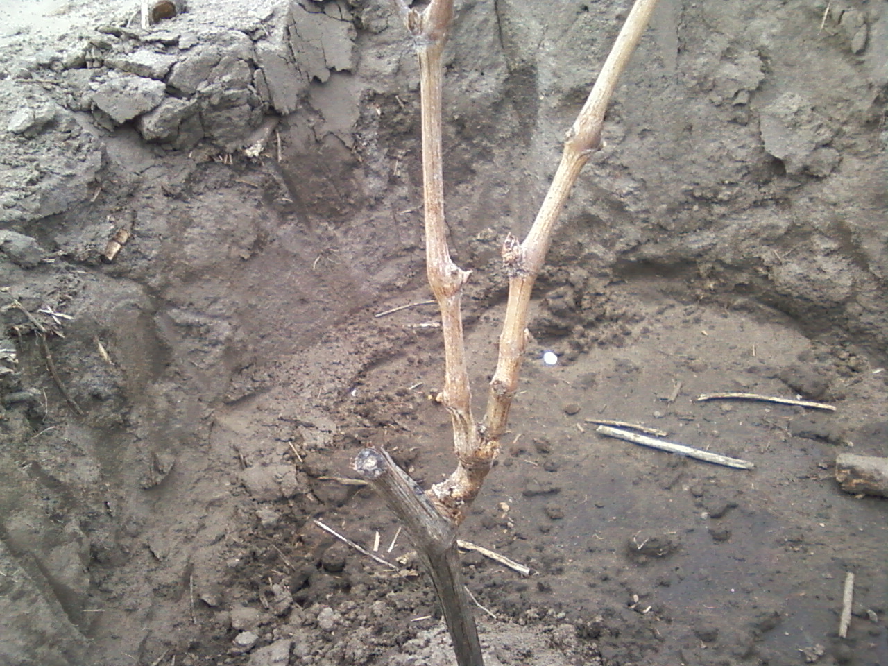 attachment.php?attachmentid=429379&stc=1&d=1429209164