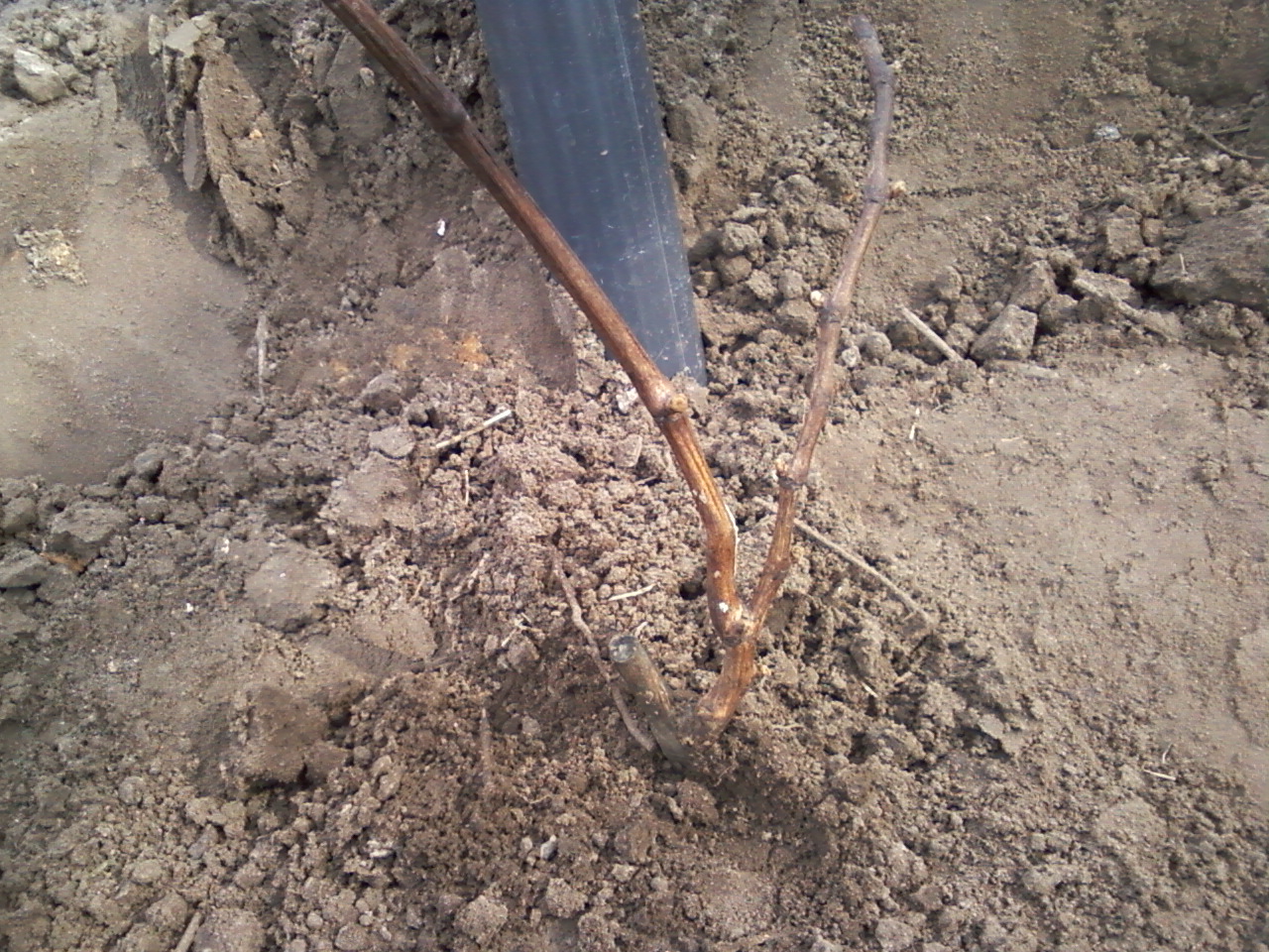 attachment.php?attachmentid=429380&stc=1&d=1429209164