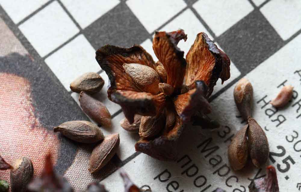 attachment.php?attachmentid=430214&stc=1&d=1429526046