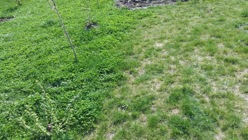 attachment.php?attachmentid=431627&d=1429991929