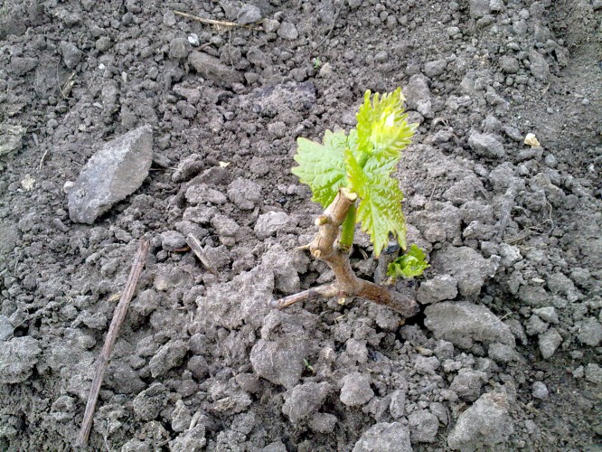 attachment.php?attachmentid=432792&stc=1&d=1430418318