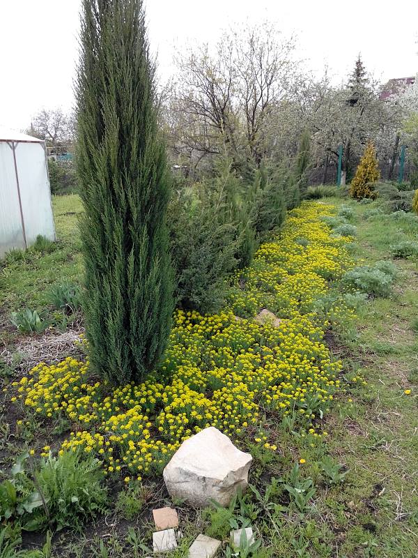 attachment.php?attachmentid=432890&stc=1&d=1430475133