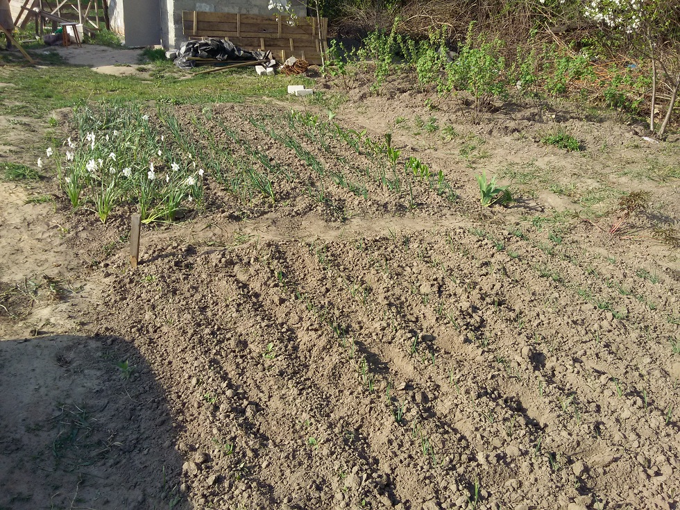 attachment.php?attachmentid=433124&stc=1&d=1430628013