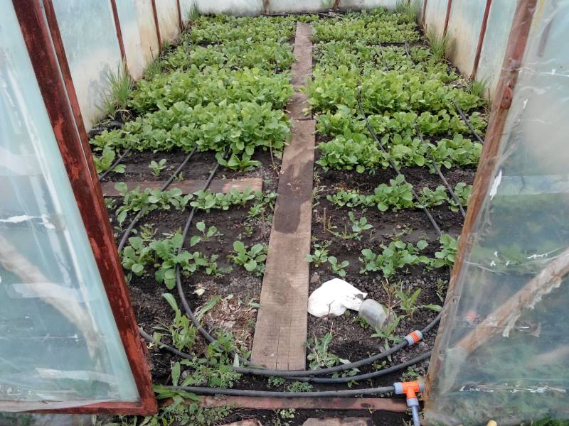 attachment.php?attachmentid=433218&stc=1&d=1430647770