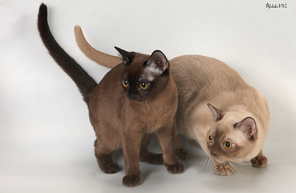 attachment.php?attachmentid=435926&d=1431671690